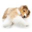mushy-pup