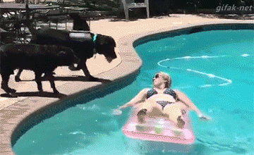 Shark Attack.