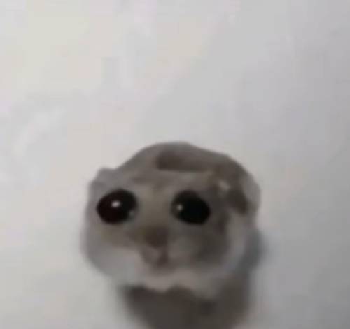 If I Don't Start Talking About Baldur's Gate 3 I'm Gonna Lose What Little Bit Of My Mind I Have Left