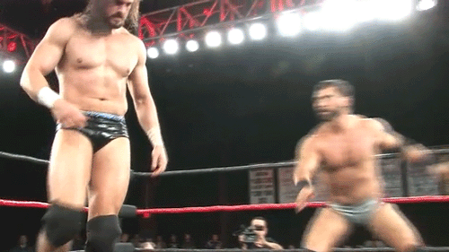 Ultimate Cockfighters