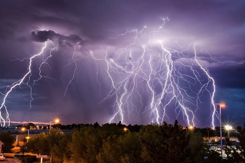 lionversusbear:getting pictures of lightning is HARD, yo