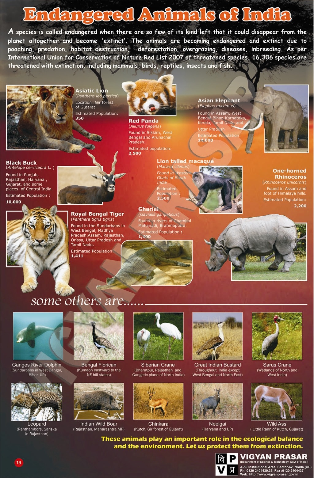 Science Visualized • BIODIVERSITY AWARENESS POSTERS FROM INDIA...