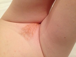 jmat84:  Trimmed ginger puss…. likey? 