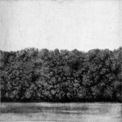 iamjapanese:  Tomáš Žemla（Slovak b.1984）GrovesⅠGrovesⅡGrovesⅢetching,