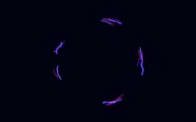 Space Child