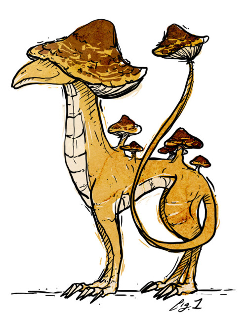 theonewithpurplehair: featherwurm: Mushroom Dragons are curious little detritivores with a variety o