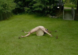 trytobegoodforme:  bookertease:  Lawn games