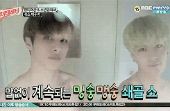 chaootic:  Boys Republic in the shower :) 