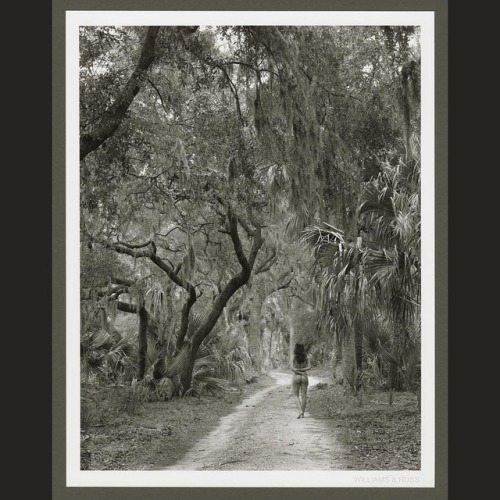 Auction Print of the Week - WALKING AWAY. This image was made on Ossabaw Island, a sparsely inhabite