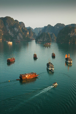 visitheworld:  Junk boats in Ha Long Bay,