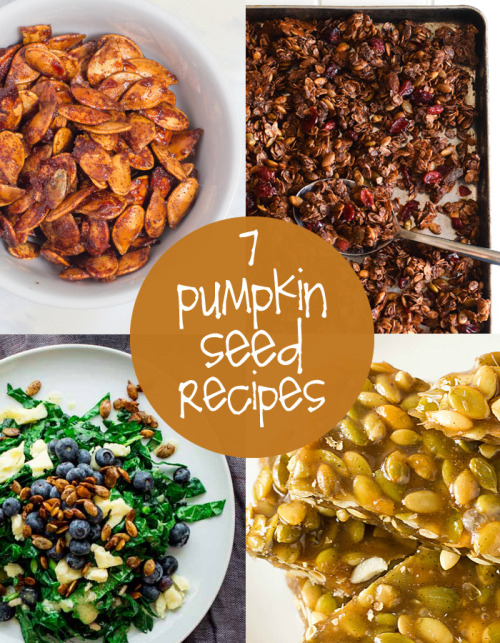 (via feasting on fall with flavorful pumpkin seed recipes | creative gift ideas & news at catchi