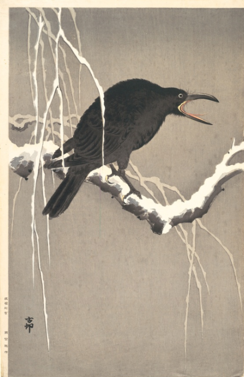 illuminating-dragon:‘Black crow on snowy branch’. Printmaker (after): Ohara Koson (Japanese, 1877-19