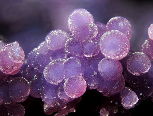 ifuckingloveminerals:  PhosphosideriteFolgosinho, Gouveia, Guarda District, Portugal