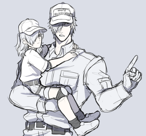 shweezyliz: Another AU from Cells At Work that me and my peers had thought of  ( @gaycalculator