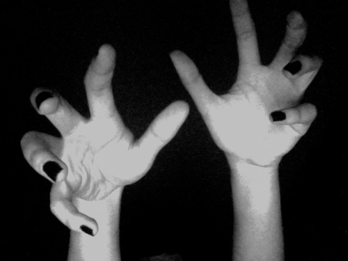 Dear Insanity.