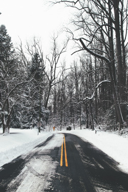 envyavenue:Winter Road | Photographer