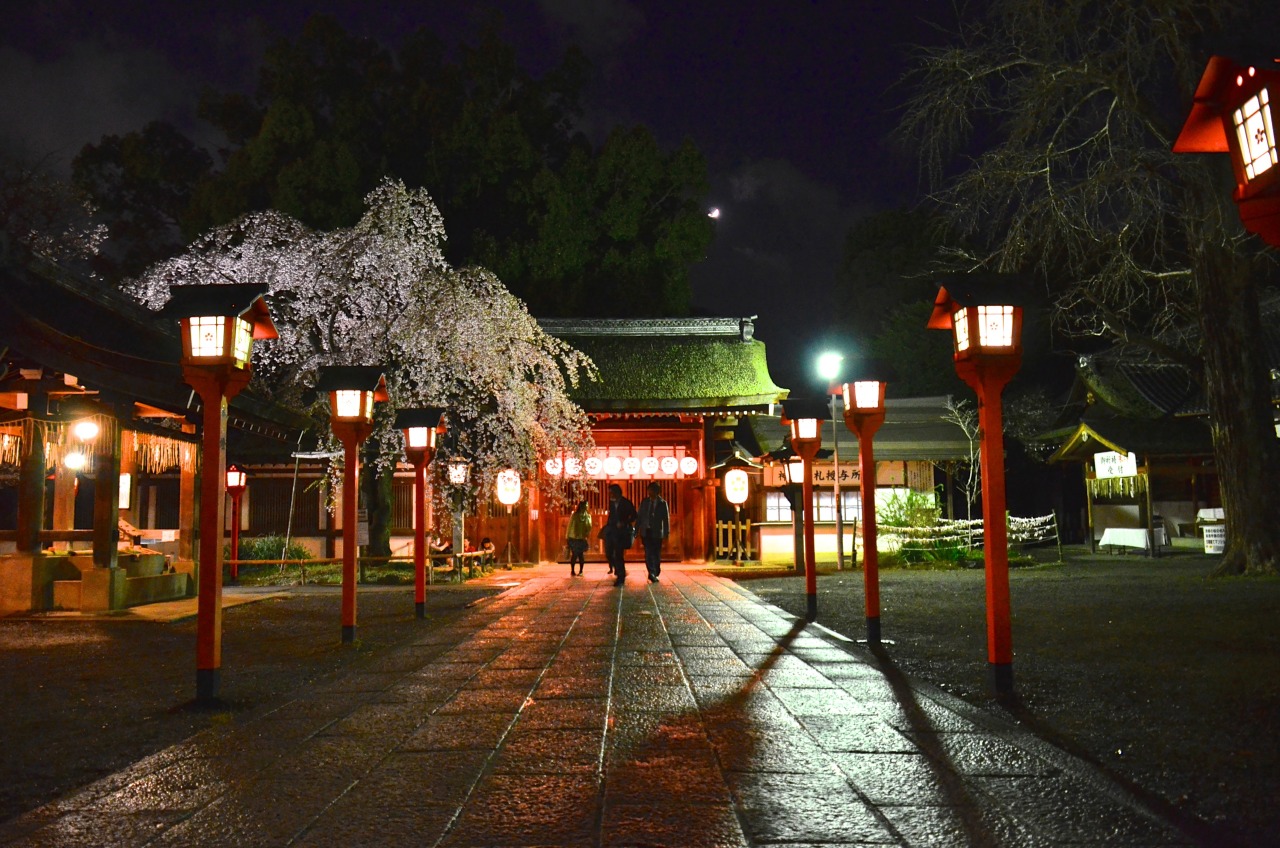 夜の平野神社 花見シーズンのとき行った感じです 京都フリー写真素材 Photographix