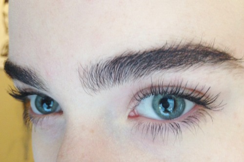 tiit:  gabthewizard:  querkzia:  aes-thetic:  arcticmunki:  fresh-glaze:  her bottom lashes are longer and more curled than my top lashes  omf  eyebrow and eyelash goals  jealous   What a brat!  what that mean? 