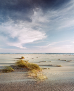  Windswept Sea Shore, Waddle CreekPentax