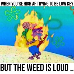 supahighposts:  This Is What Its Like Being High - Click HERE to find out