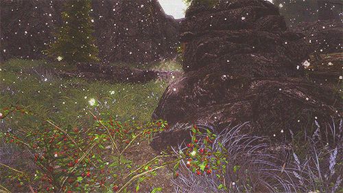 Skyrim Locations:  ► Kynesgrove