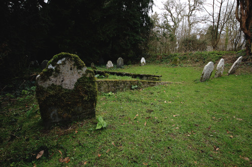 garettphotography:  Dartington Hall Cemetery | GarettPhotography 