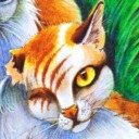 squirrelflightenjoyer avatar