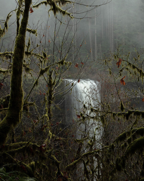 Porn Pics jmswts:  Waterfall Within Forest, Oregon.