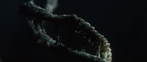 mirkokosmos:  disintegrating DNA  Isn’t this from Prometheus?