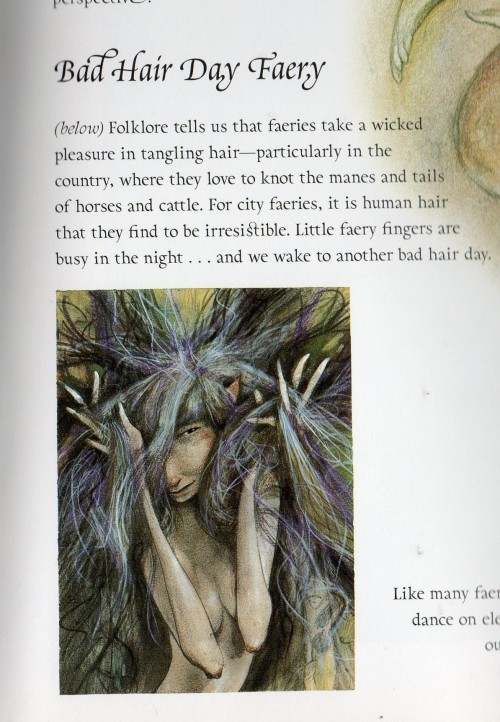 olympia-lee:  Wow, this is actually me!!!! From the book Good Faeries…Bad Faeries by Brian Froud     thesolitaryfaery THOUGHT OF YOU