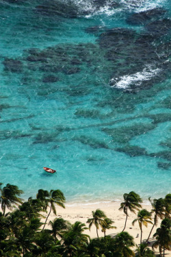 touchdisky:  La Désirade, Guadeloupe by Delphine Leduc 