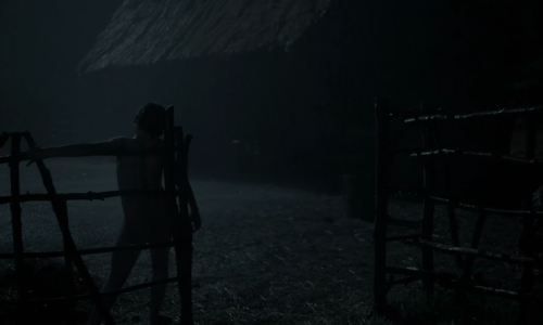 365filmsbyauroranocte:  ”I be The Witch of the Wood.” The Witch (Robert Eggers, 2015)   