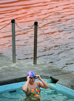 sixpenceee:  Bondi Beach in Australia turned a crimson red in 2012 because of a rare