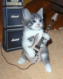 jaidefinichon:  lml 