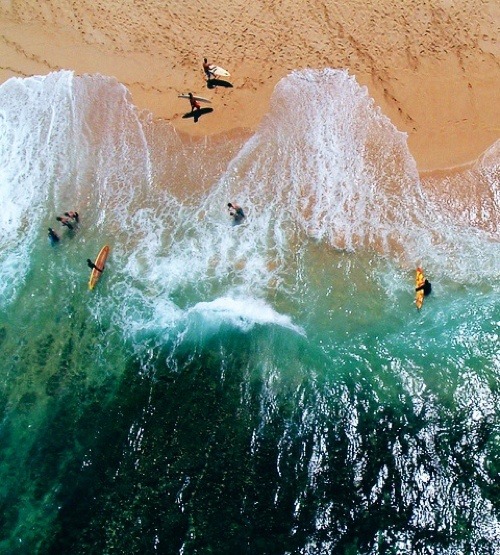 surfursparadise:  ☀☀