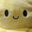 smilingoctopus