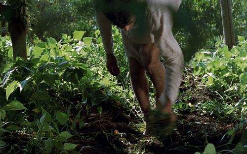 pierppasolini: Those nuns! They never gave me a moments peace!Il Decameron (1971) // dir. Pier Paolo