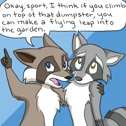 katswenski:  More Raccoon Escapades! The thrilling sequel to THIS CLASSIC. ——Edited
