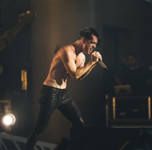 dailybeebourie:aggressive singing beebo   Brendon Urie  