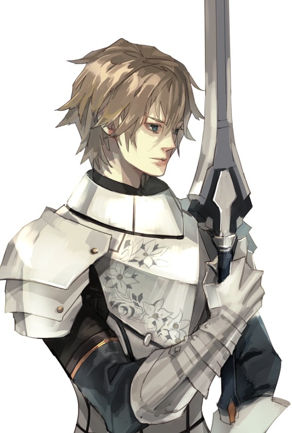 kailog:  Gawain（Fate/extra） 