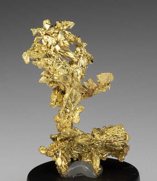 unearthedgemstones: Native gold specimen from California, USA