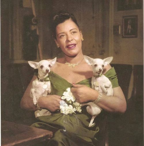 tartnation: Billie Holiday and her two Chihuahuas, Chiquita and Pepe.