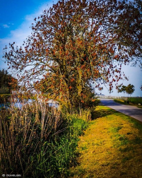 ‘AUTUMN’#Autumn #Automne #Season #Saison #Weather #Temps #Nature #Landscape #Paysage #Fr