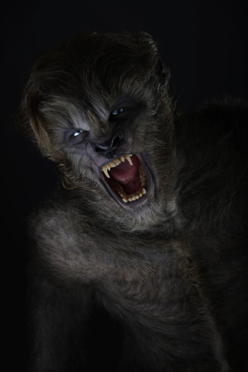 And, here are a few more images from “Wolves”. #WerewolfWednesday This film has a release date of No