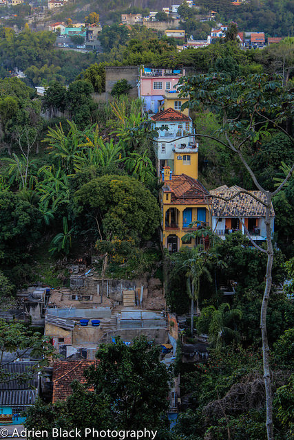 adrienblackphotography:  Coloured (Jungle) on Flickr.