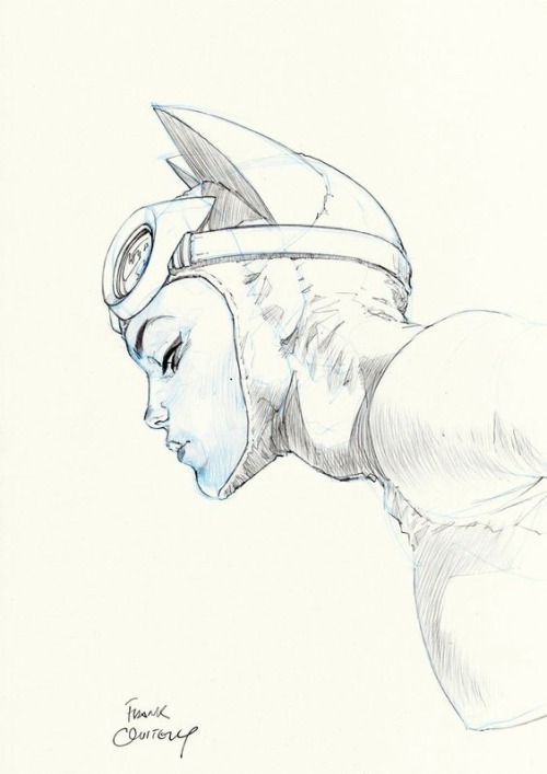 da-watchtower:  Catwoman (Art by Frank Quitely)