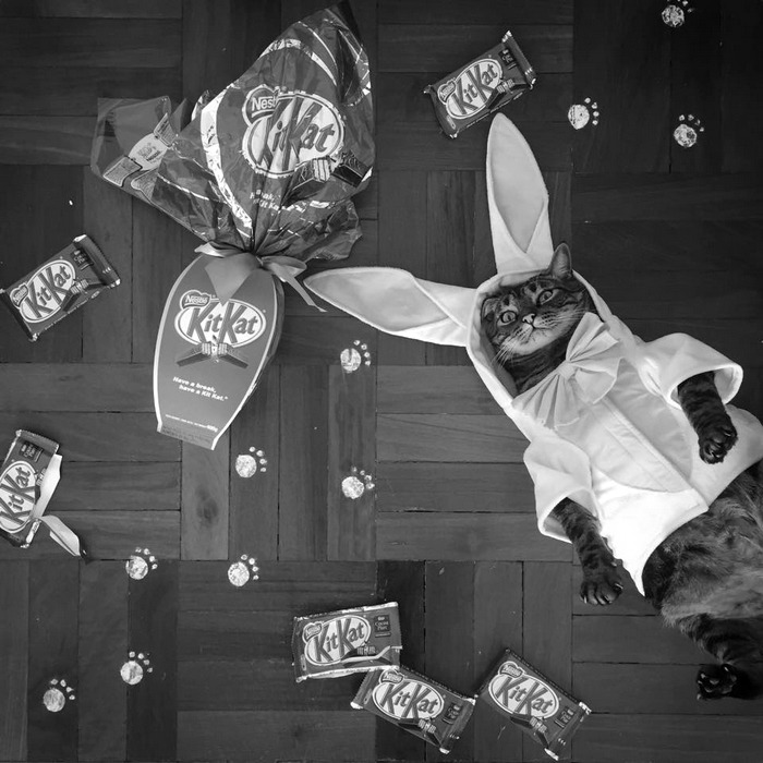 t-e-x-a-s:  happy easter!