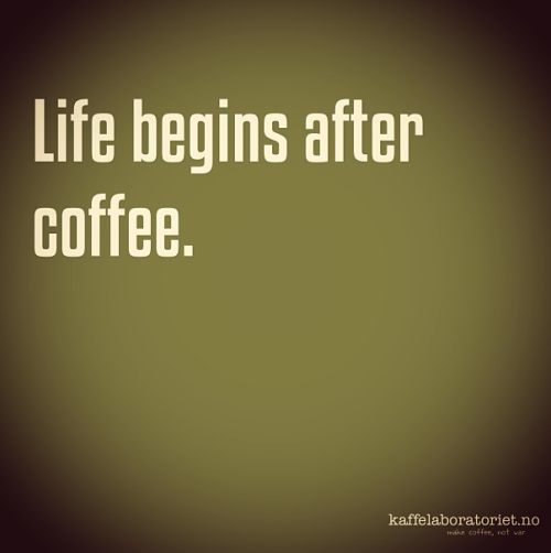 kateoplis:  Oh happy day. 