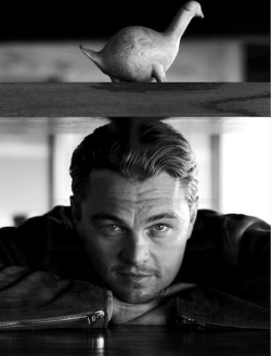 leonardo-dicaprio-daily:  Everywhere I go, somebody is staring at me. I don’t know if people are staring because they recognize me or because they think I’m a weirdo. 