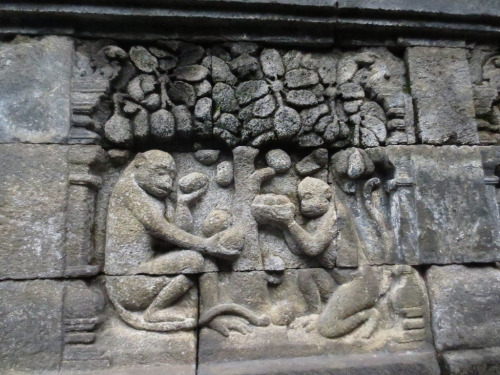 Details from the carved reliefs of Borobudur, Indonesia. 8th-9th centuries. Photos taken by Fumi Yam